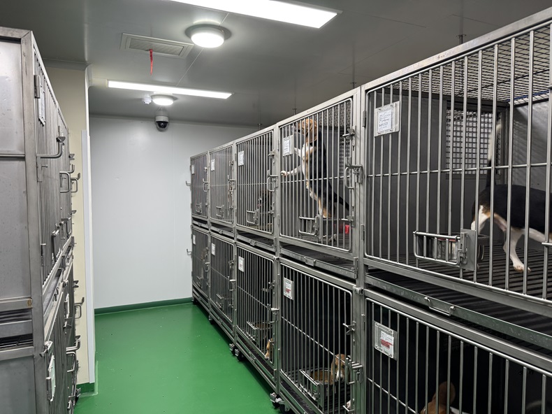 重慶實驗室研究所視頻監(jiān)控系統(tǒng)